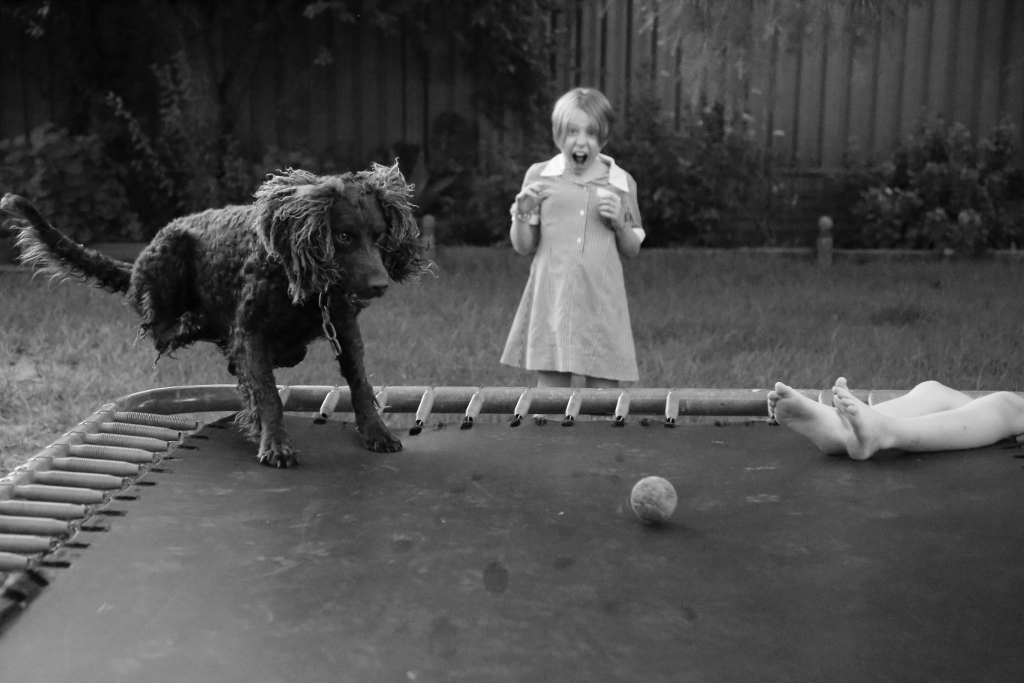 Dog chases after ball on trampoline and startles girl