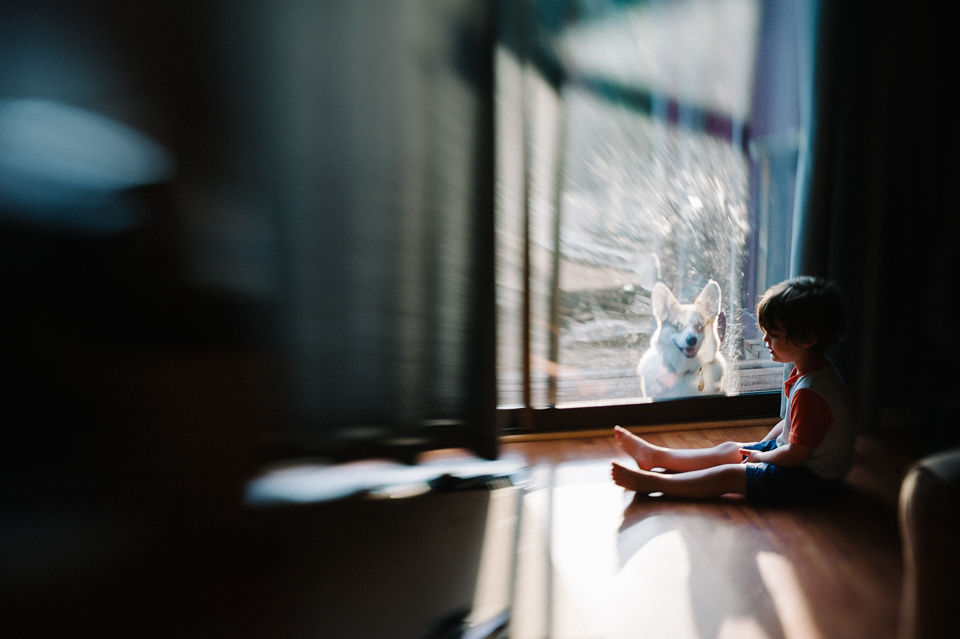 boy and dog wait at window - family documentary photography