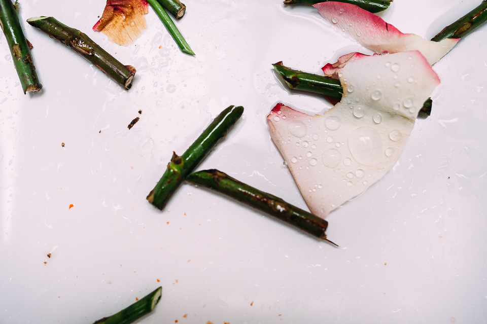 rose clippings in sink - family documentary photography