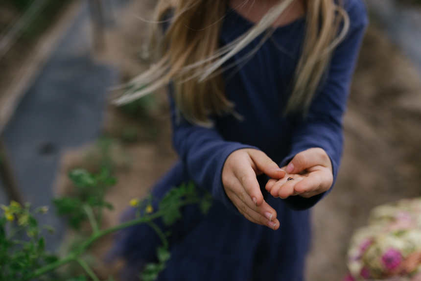 girl holding lady bug - documentary family photography