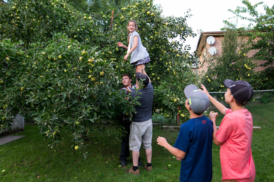 kids picking apples - Family Documentary Photography