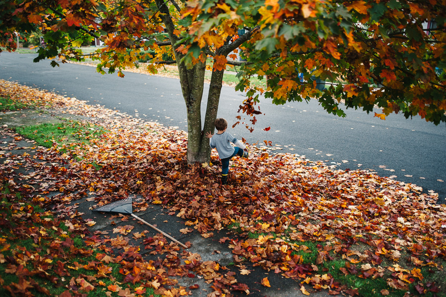 boy kicking leaves - Family Documentary Photography