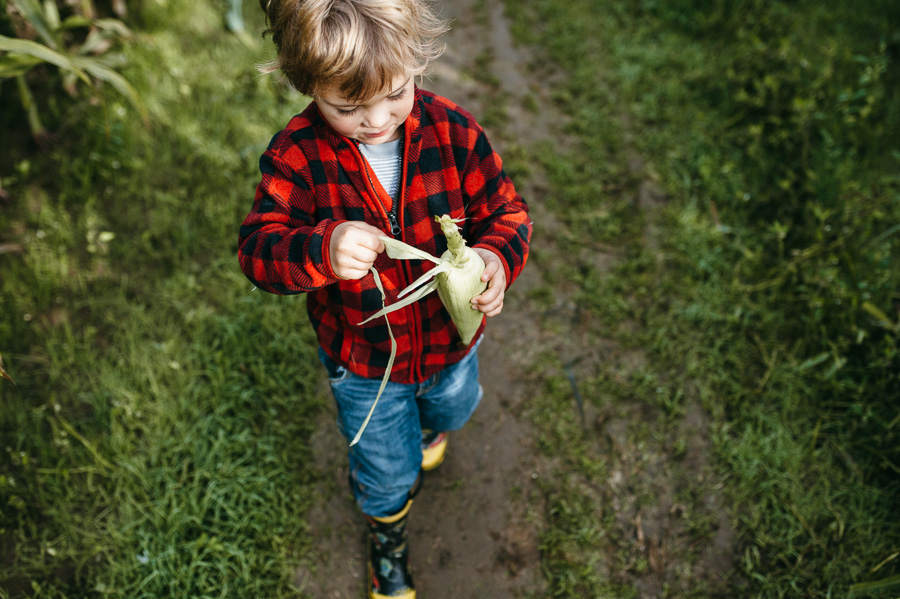 boy with corn - family documentary photography