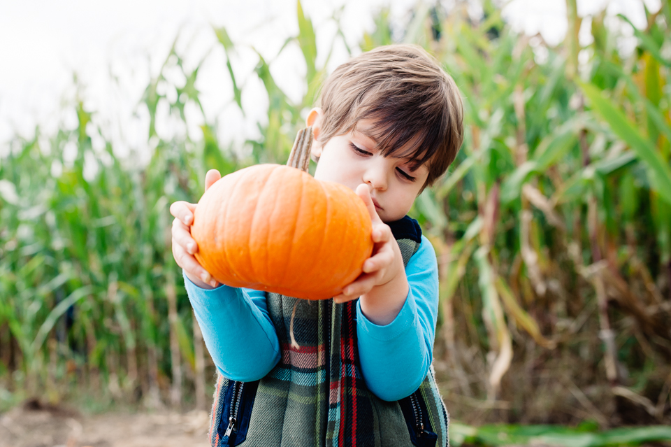 boy inspects pumpkin - family documentary photography