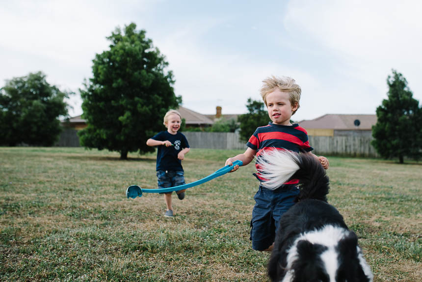 boys play with dog in yard- family documentary photography
