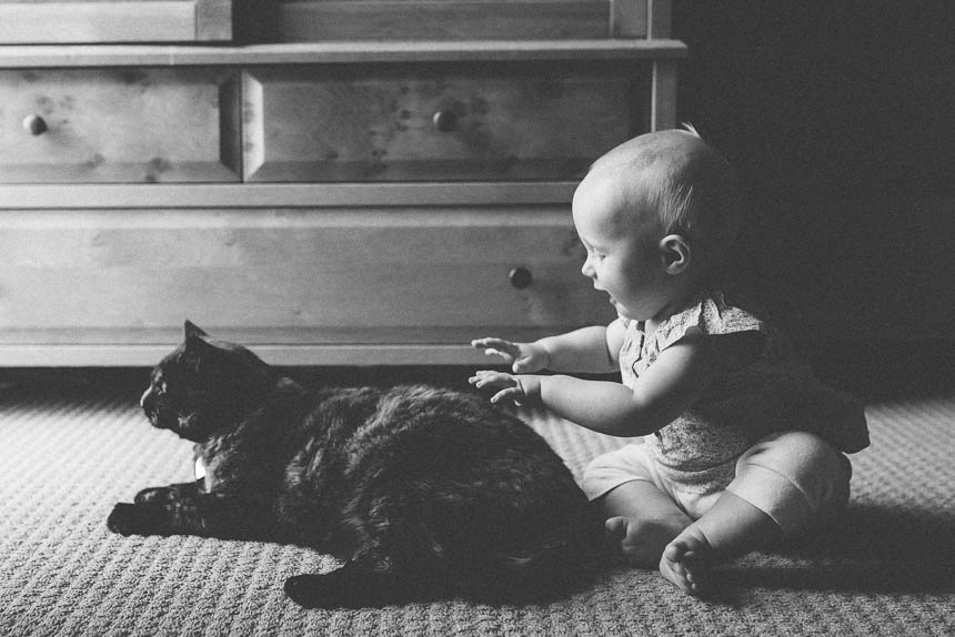 little girl trying to grab cat
