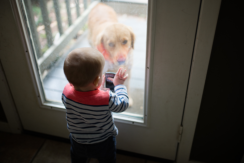 baby shows dog phone at window - Family Documentary Photography