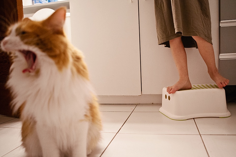 kids feet on step stool with and yawning cat - Family Documentary Photography