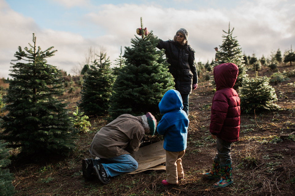 Family gets Christmas tree - Family Documentary Photography