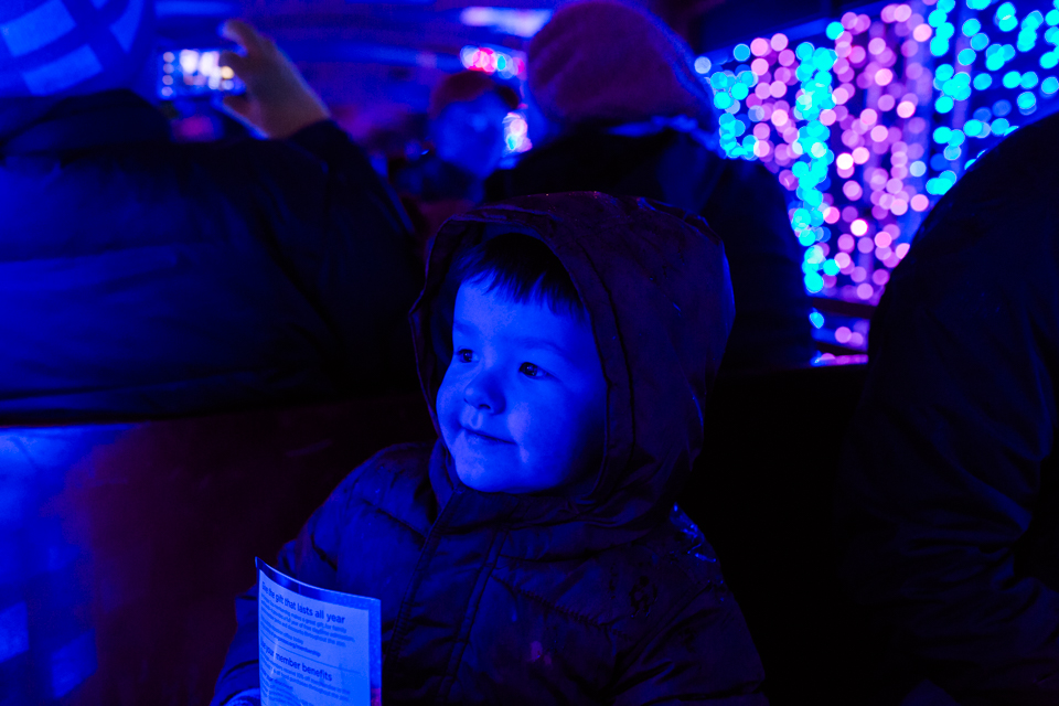 Boy at holiday light display - Family Documentary Photography