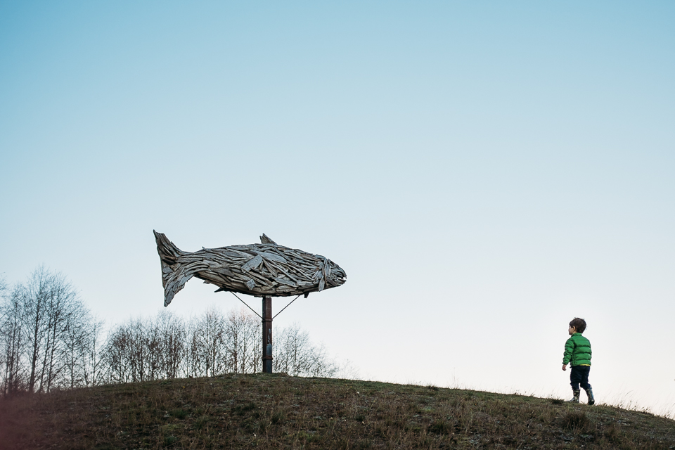 boy approaching fish sculpture on hill - Family Documentary Photography