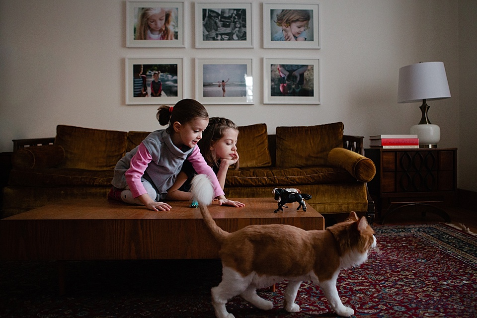 Girls with toy horses and large cat - Documentary Family Photography