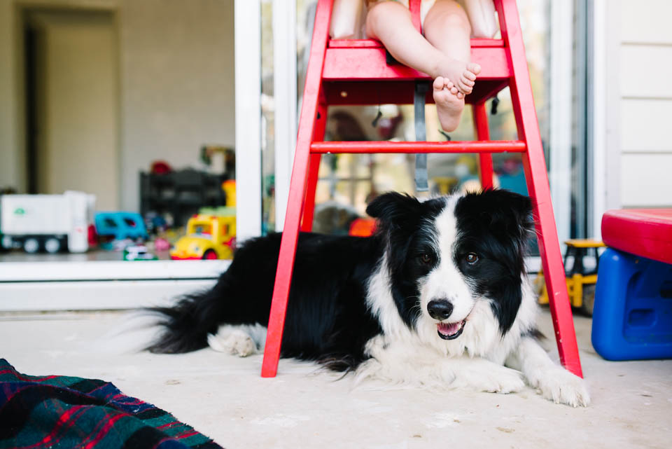 Dog waits under high chair - Documentary Family Photography