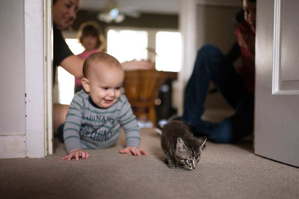 Baby follows kitten - Documentary Family Photography