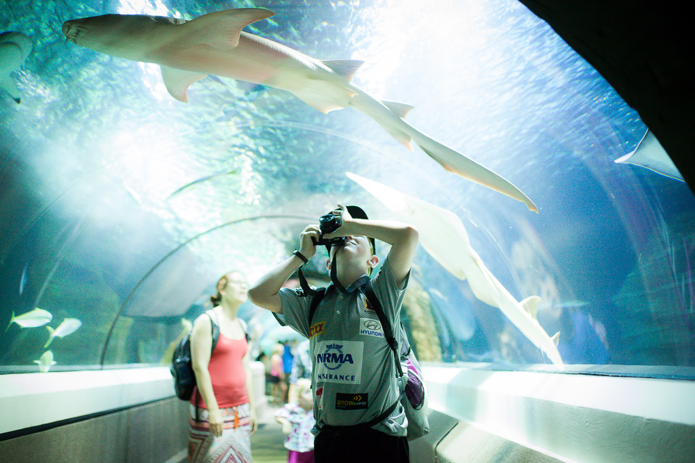 boy watching sharks swim in aquarium - Documentary Family Photography