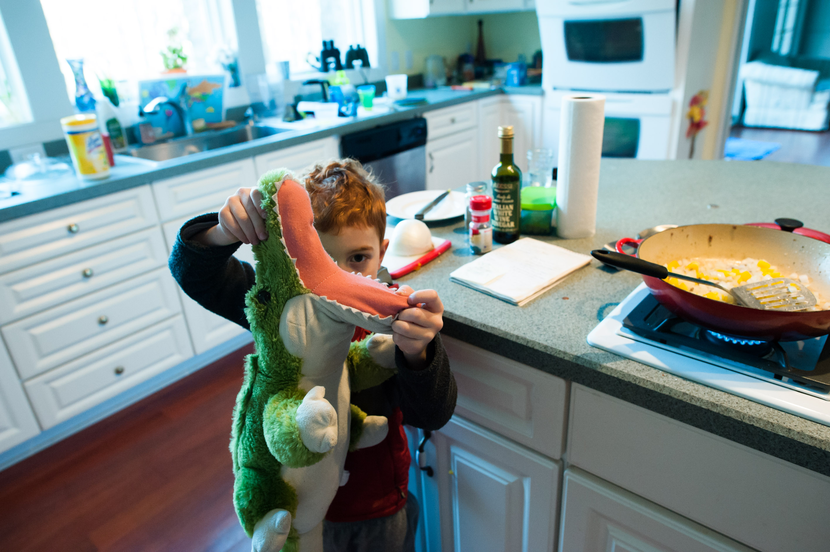 boy with stuffed alligator - Documentary Family Photography