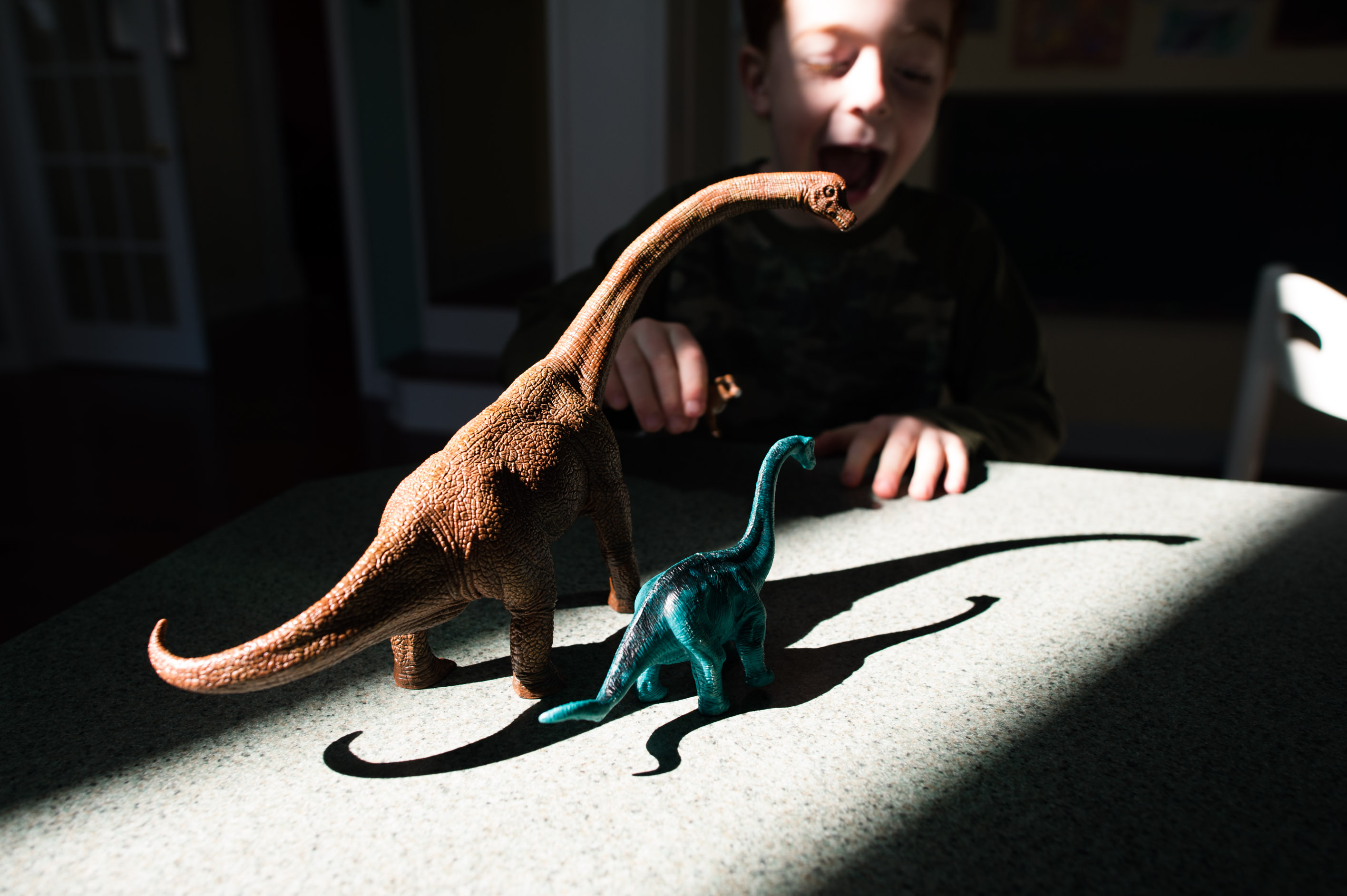 boy plays with dinosaurs - Documentary Family Photography