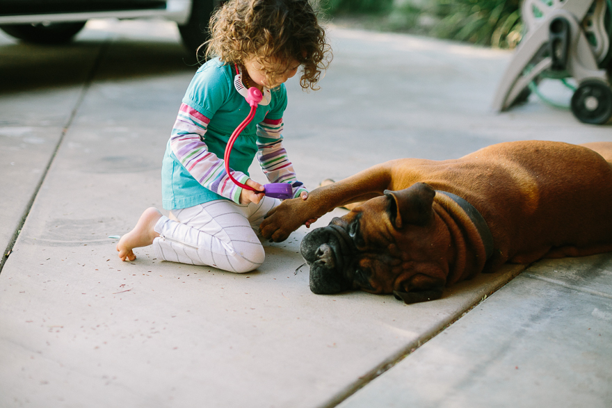 little girl playing vet with her dog - Documentary Family Photography