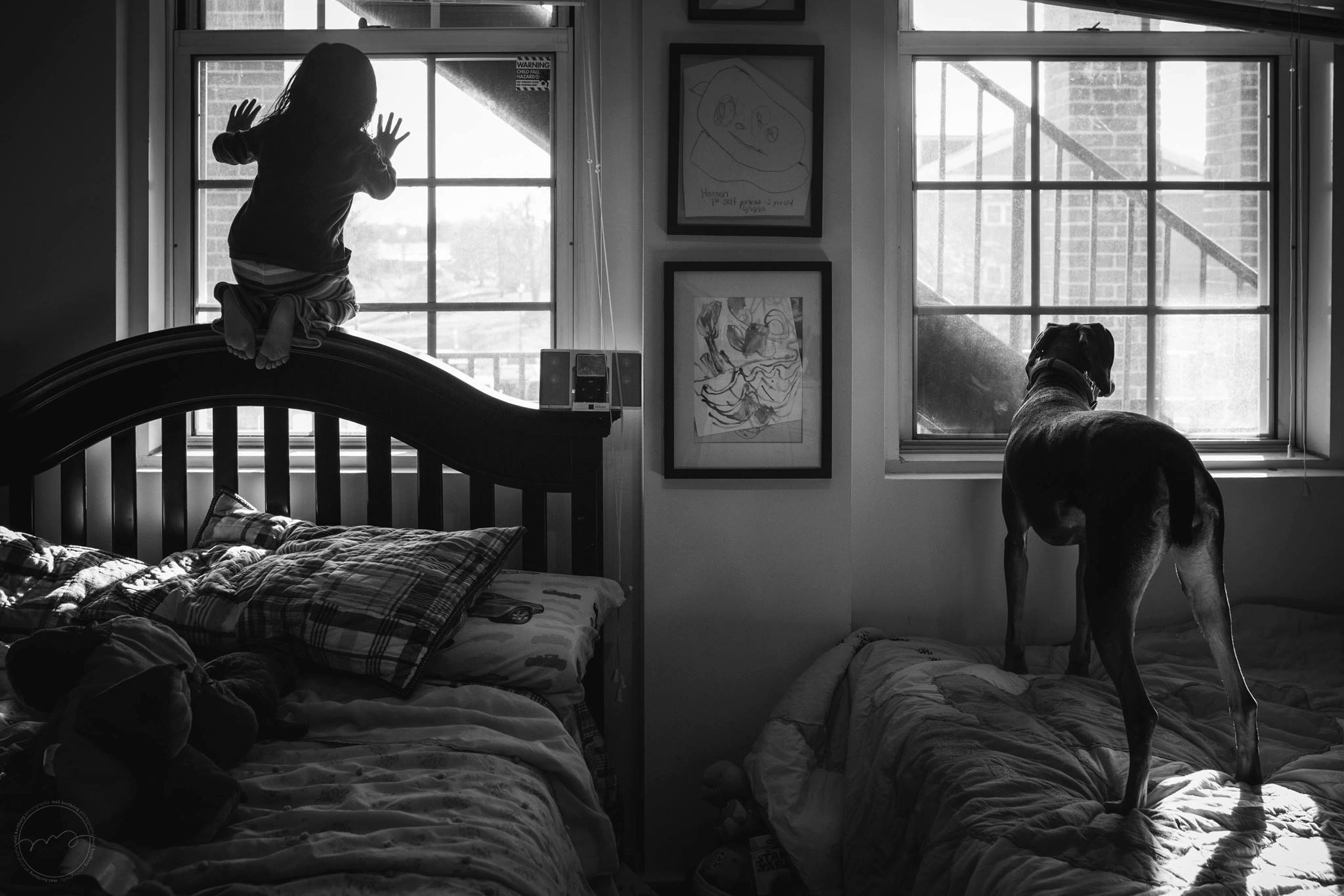child and dog look out windows - Documentary Family Photography
