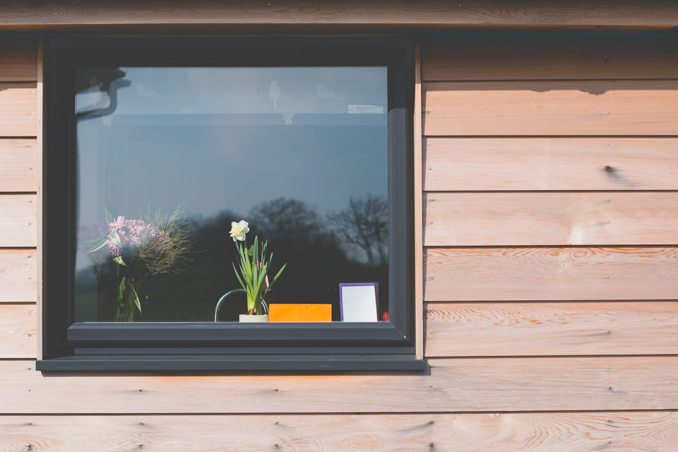 flower in window - Documentary Family Photography