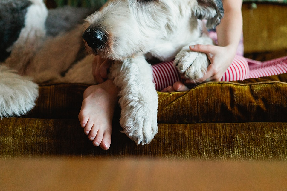 Child and dog's foot - Documentary Family Photography