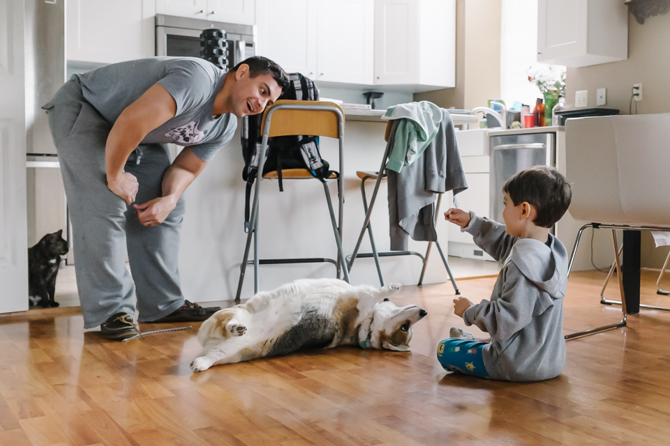 Little boy has dog do tricks while father watches on - Documentary Family Photography