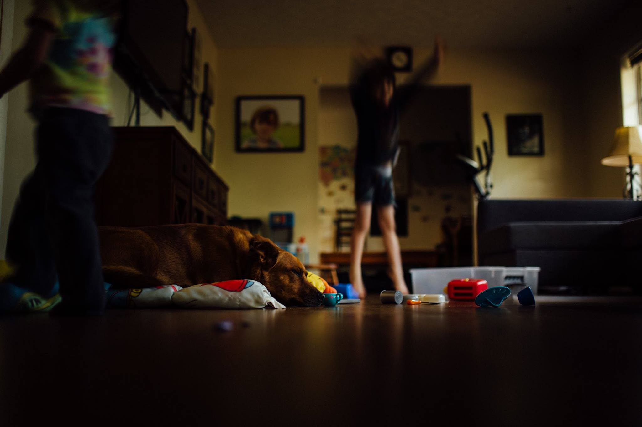 dog asleep amidst child's mess - Documentary Family photography