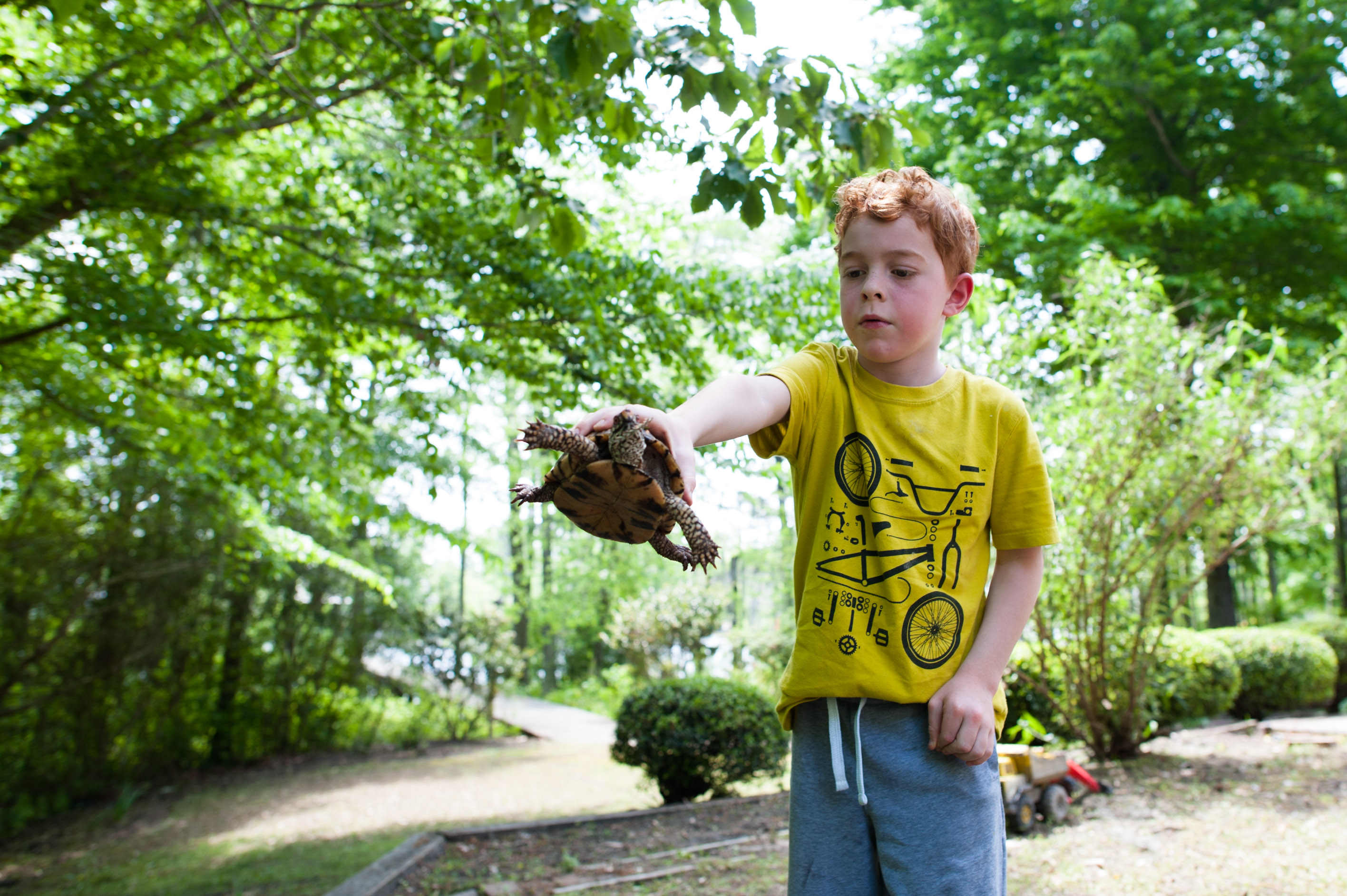 boy with turtle - Documentary Family Photography