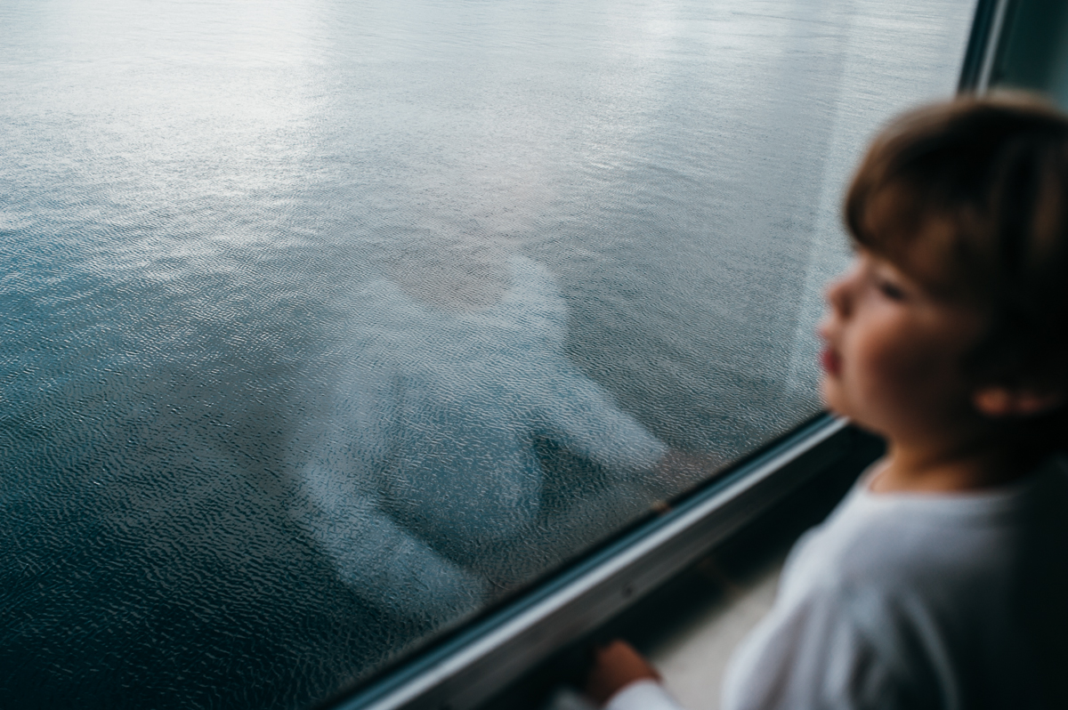 boy looks out window on ferry - Documentary Family Photography