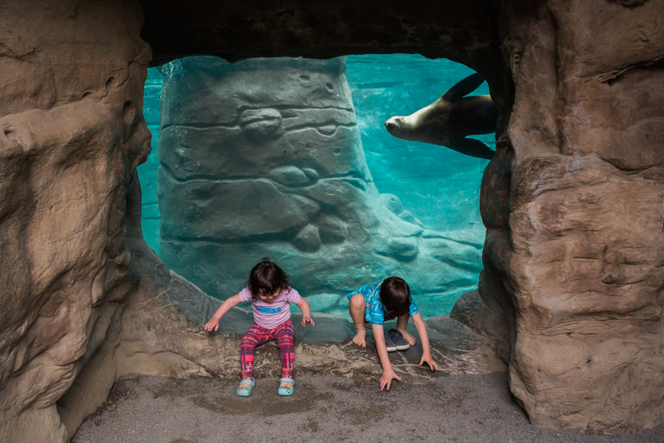 kids climbing in aquarium window - Documentary Family Photography