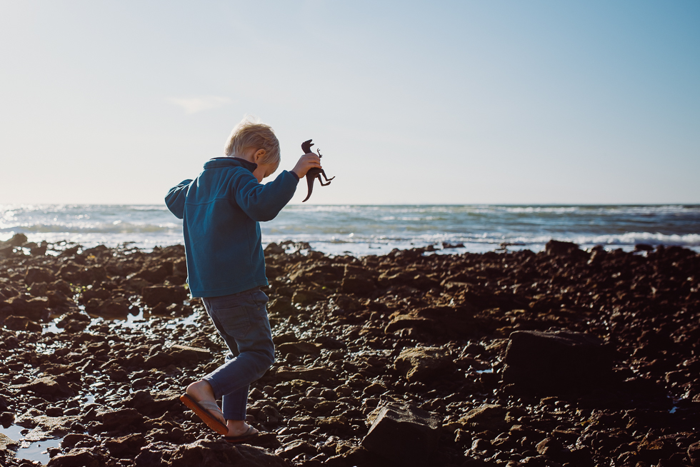 boy on rocky beach with toy dinosaur - Documentary Family Photography