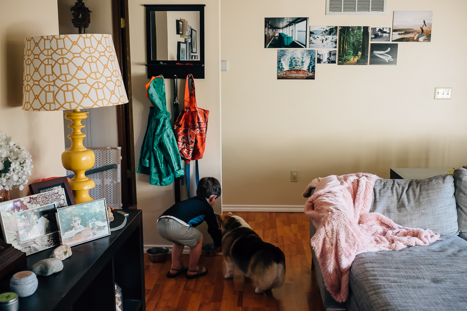 boy feeds dog - Documentary Family Photography