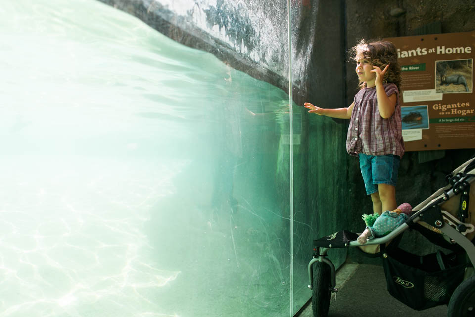 Girl at aquarium - Documentary Family Photography
