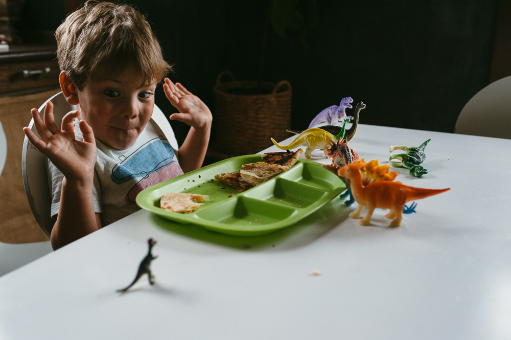 boy with dinosaurs at dinner - Documentary Family Photography