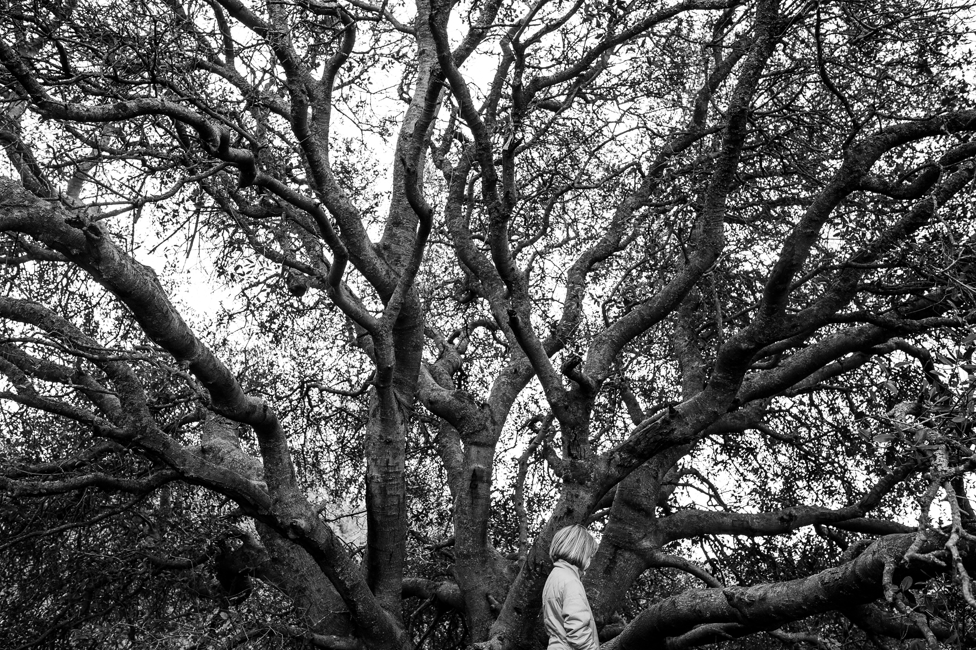 girl walks in front of large tree - documentary family photography