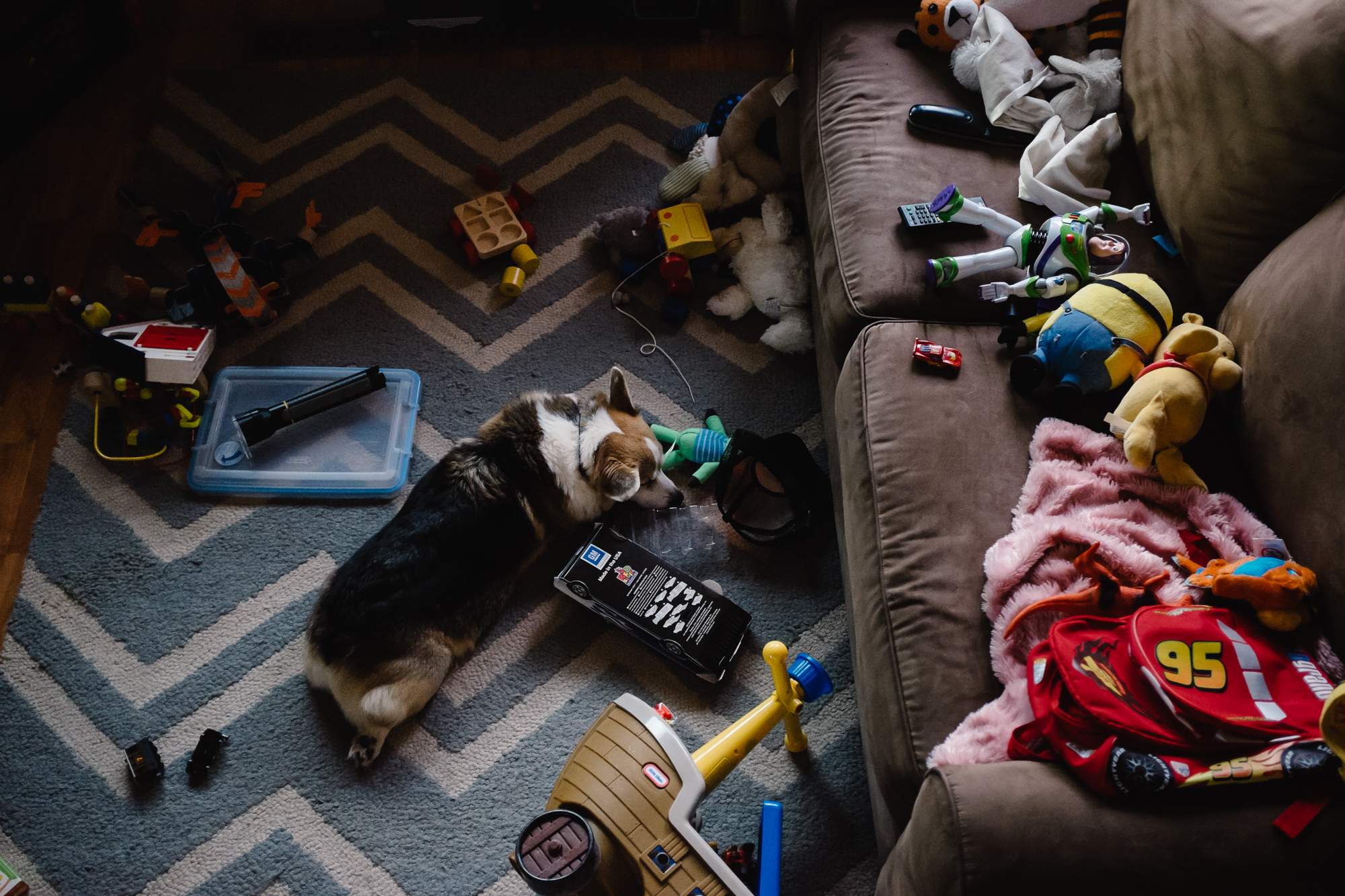 dog asleep amongst toys