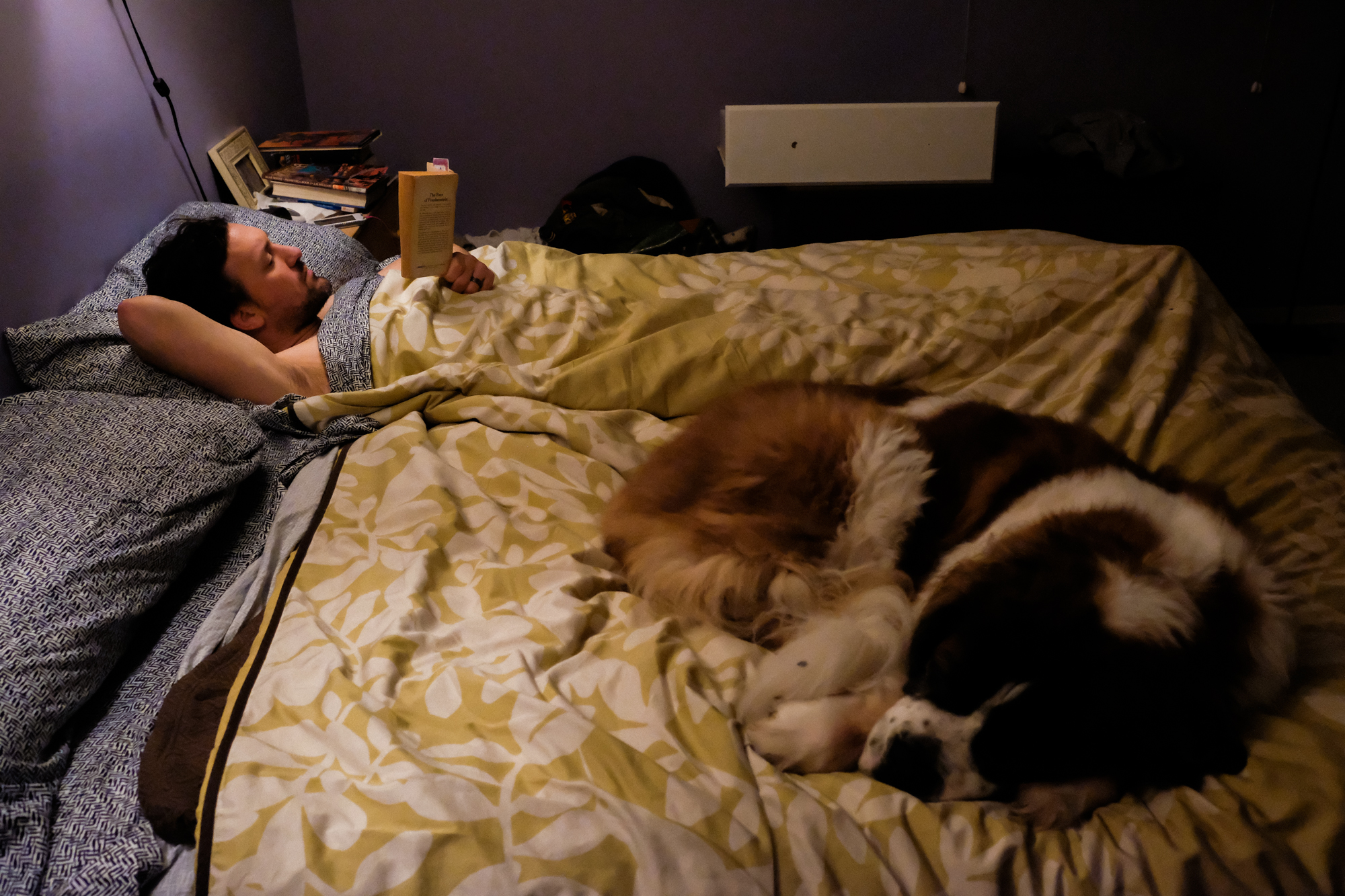 man reading in bed with dog - Documentary Family Photography