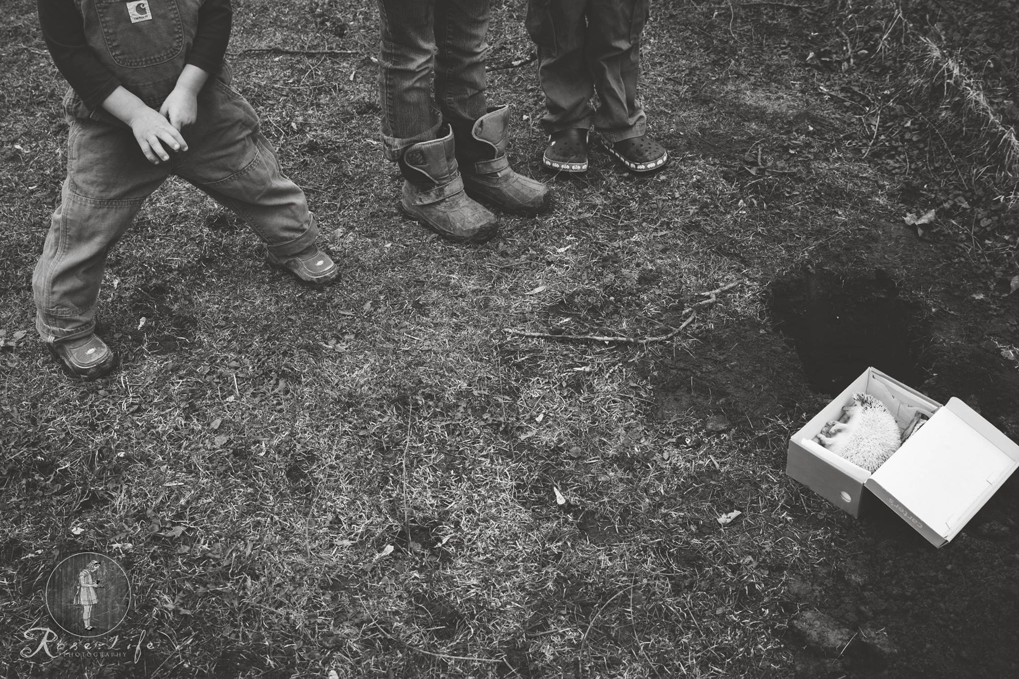 children mourn dead pet - documentary family photography