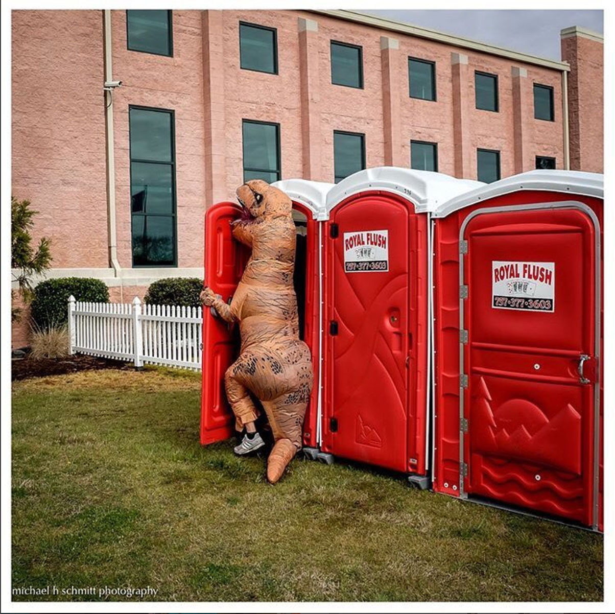 T Rex in porta potty - Documentary Family Photography