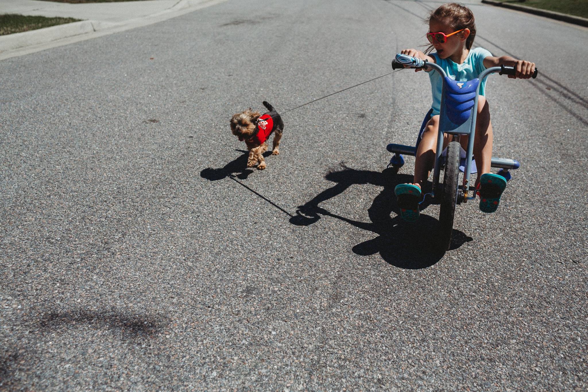 girl on bike with dog on leash - documentary family photography