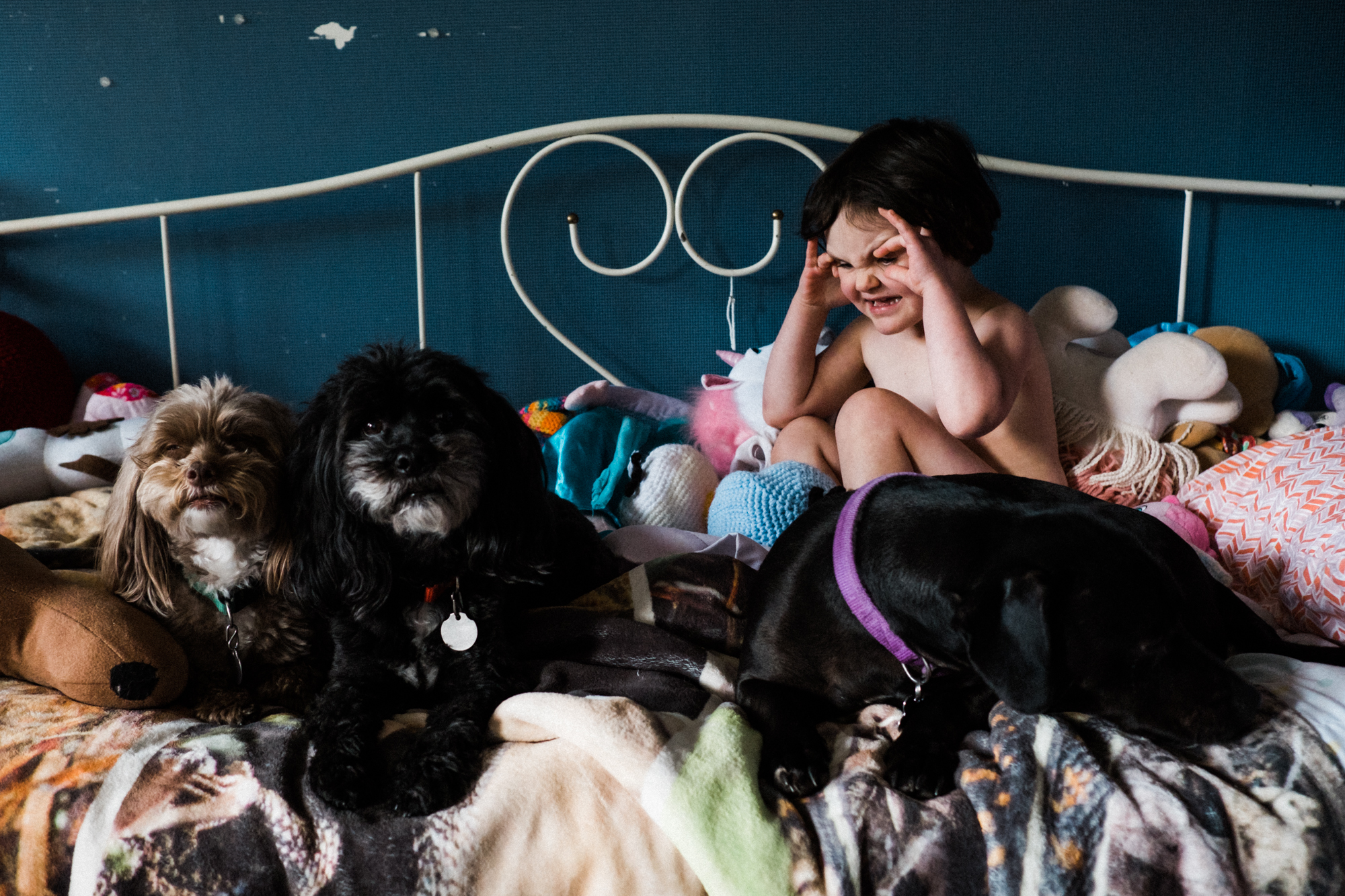 girl makes faces at dog on bed - Documentary Family Photography