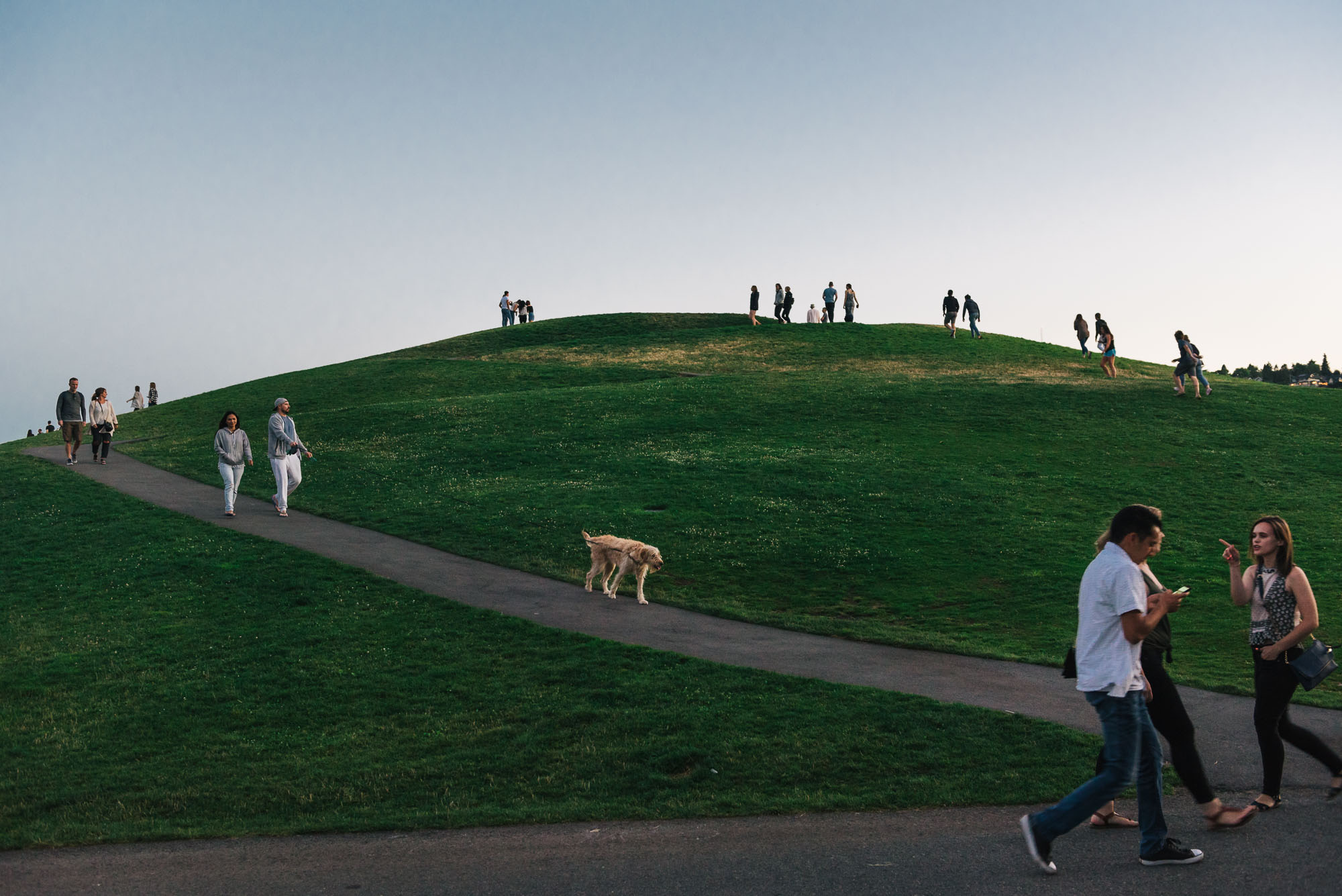 people at park - Documentary Family Photography