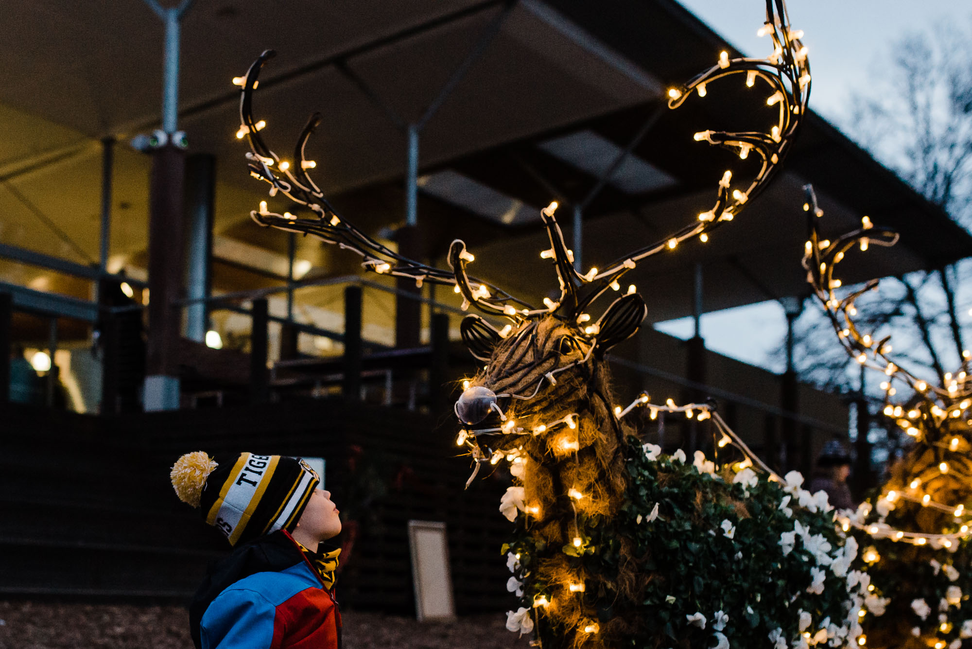 child looks at light up reindeer - Documentary Family Photography