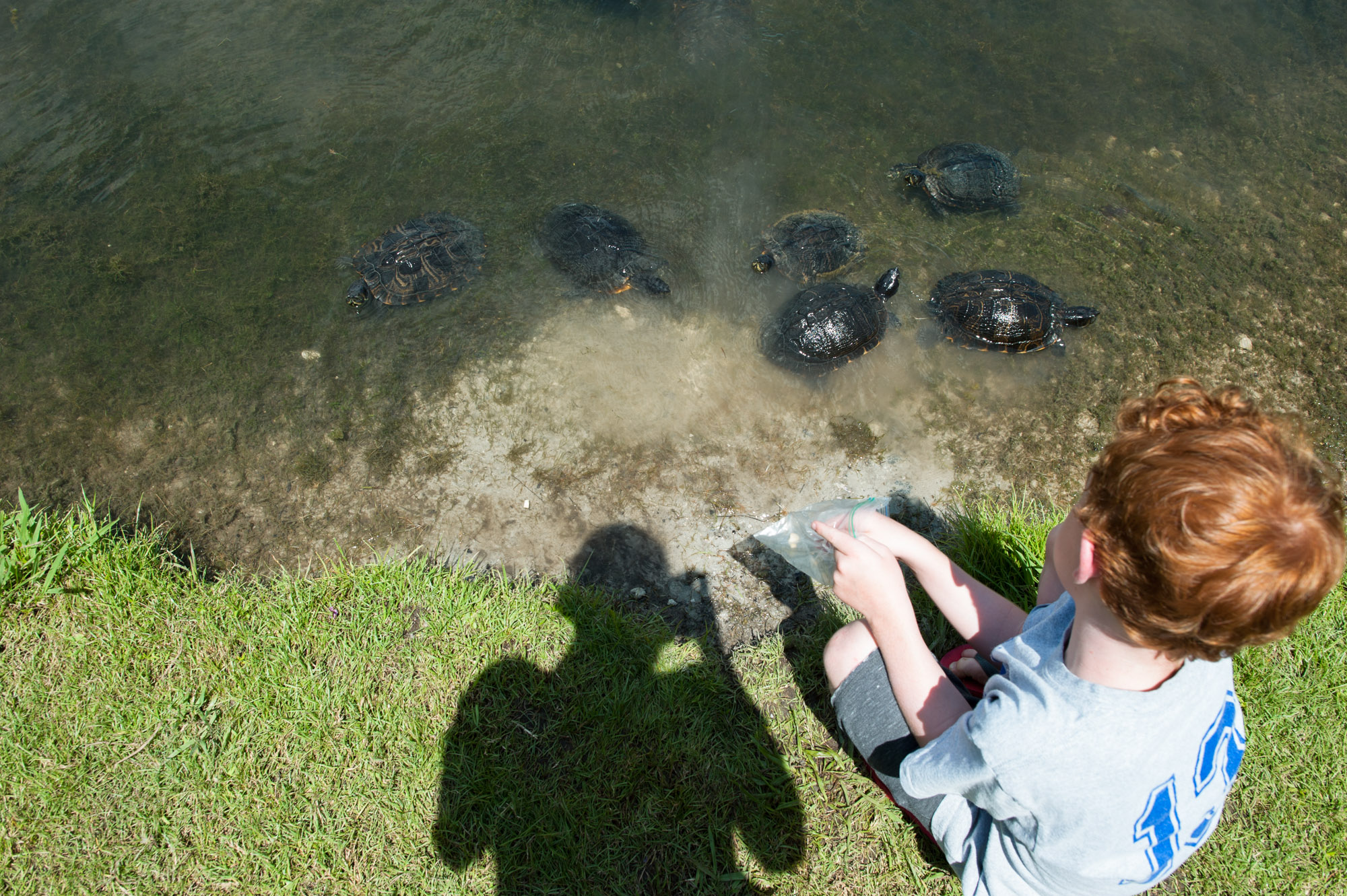 boy with turtles - Documentary Family Photography