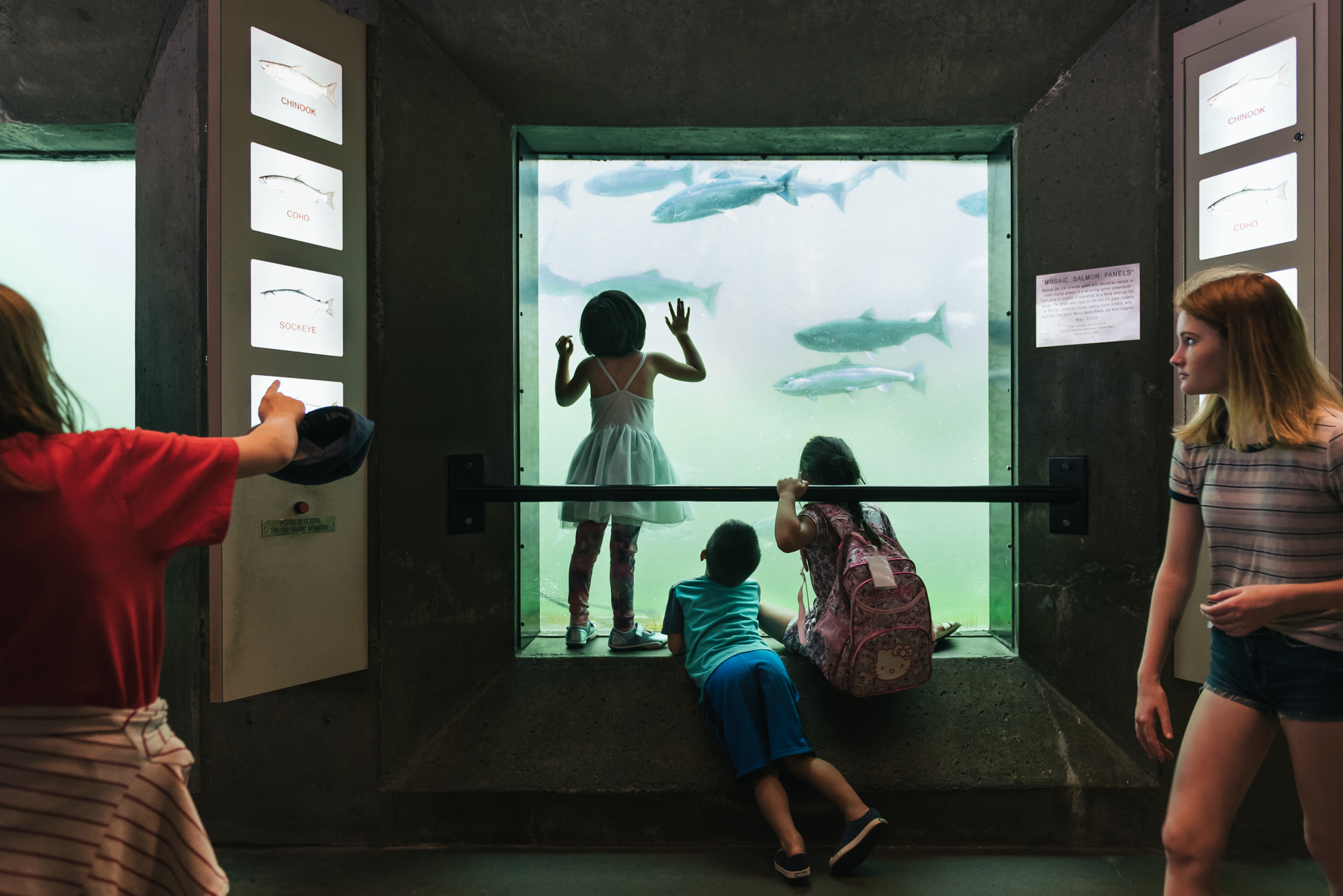 kids at aquarium - documentary family photography