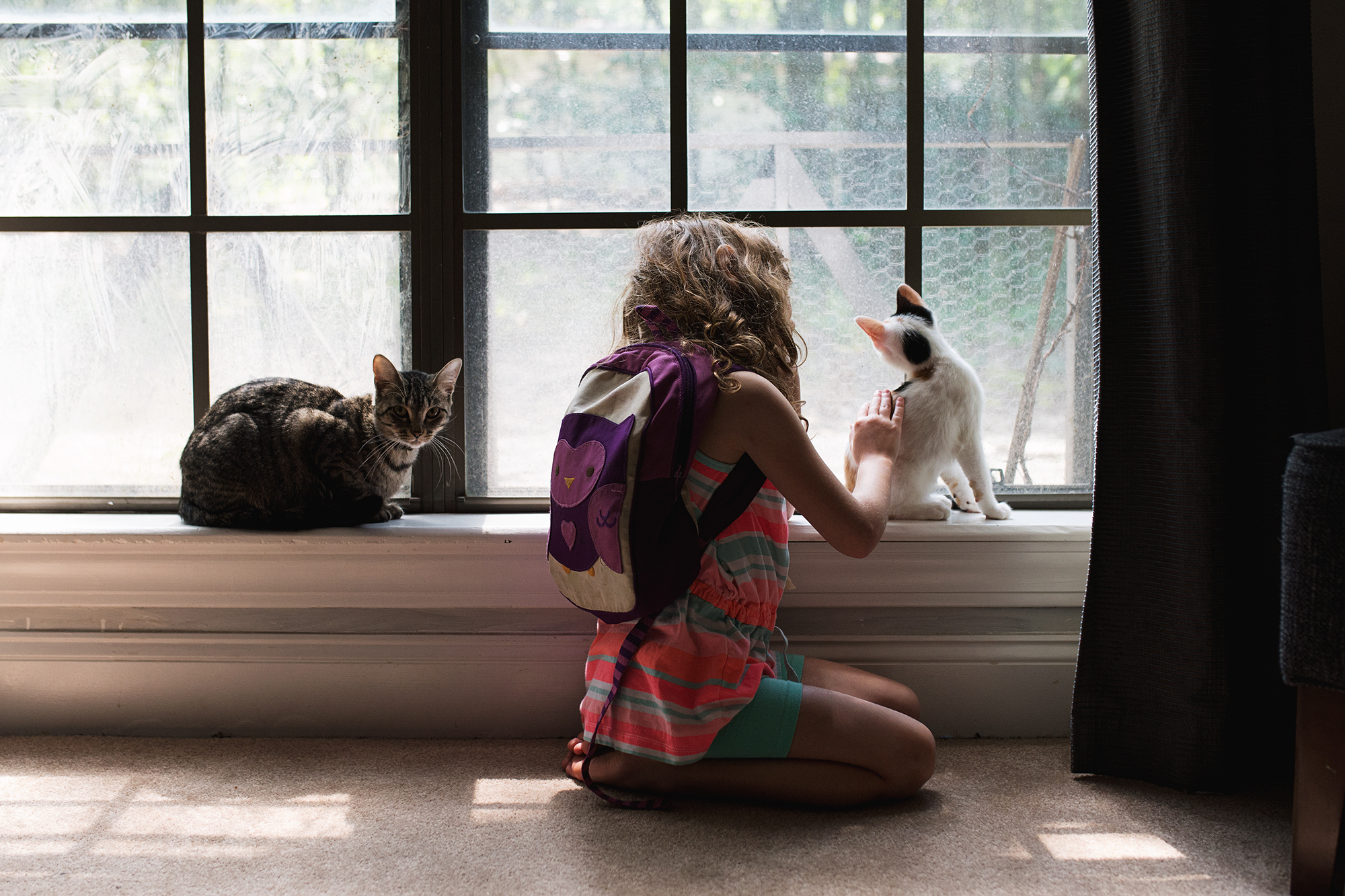 girl tends to cats - Documentary Family Photography