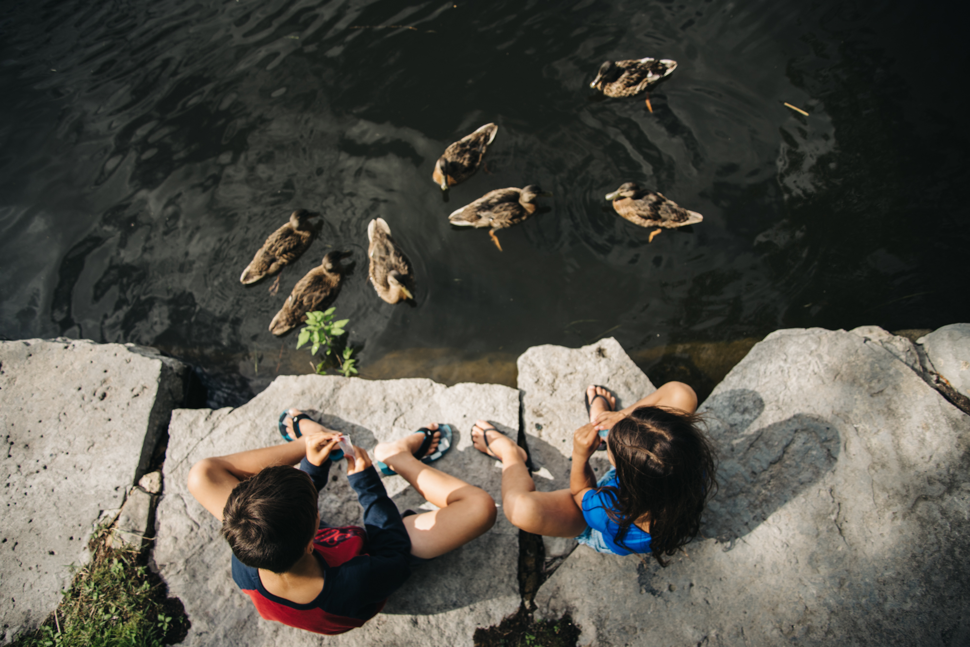 kids feed ducks - Documentary Family Photography