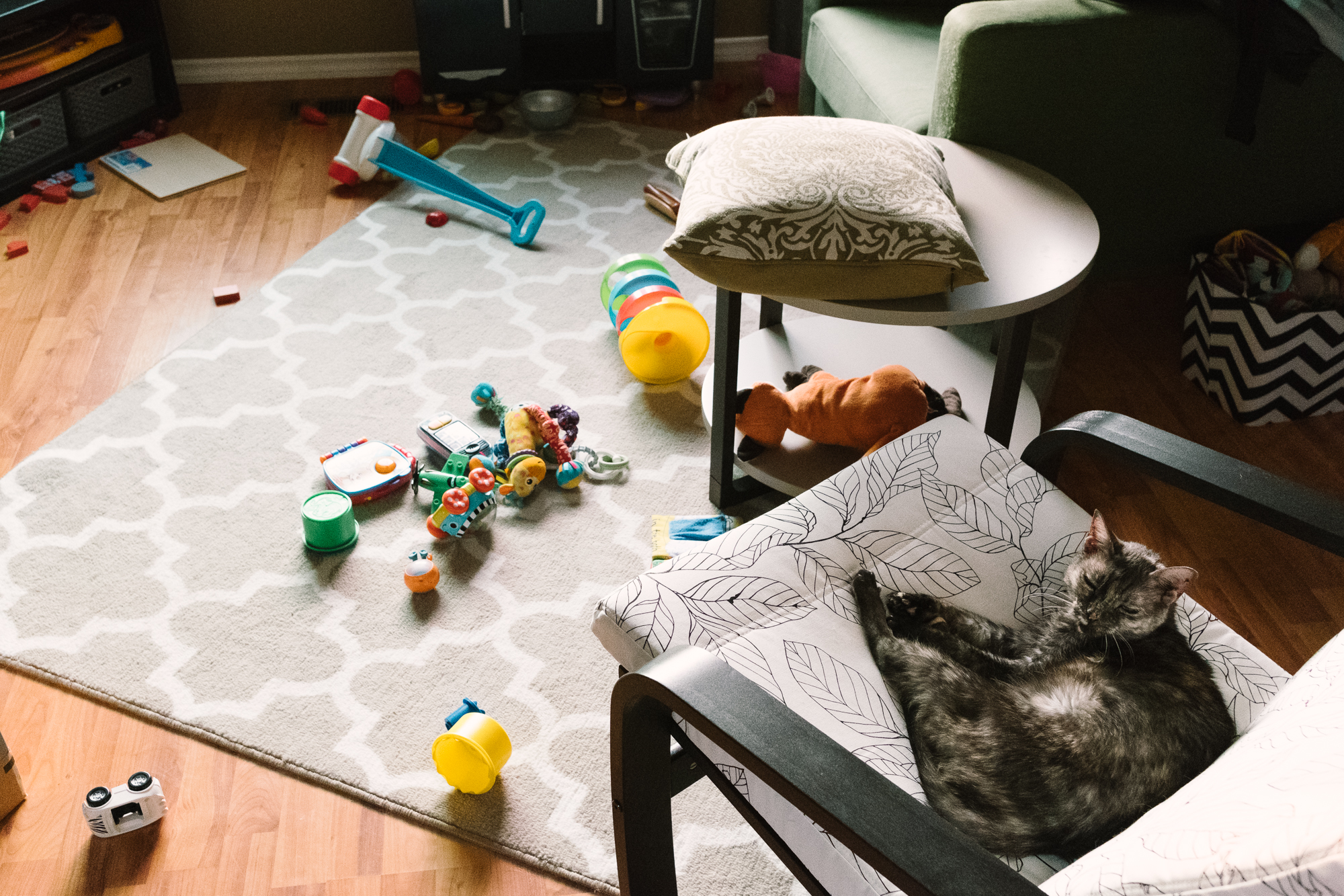 cat in chair with mess of toys - Documentary Family Photography