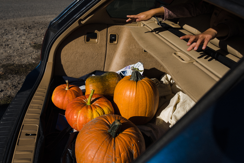 pumpkins in car trunk - documentary family photography