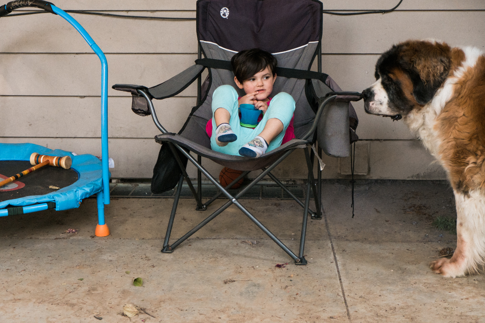 girl in camping chair with dog - Documentary Family Photography